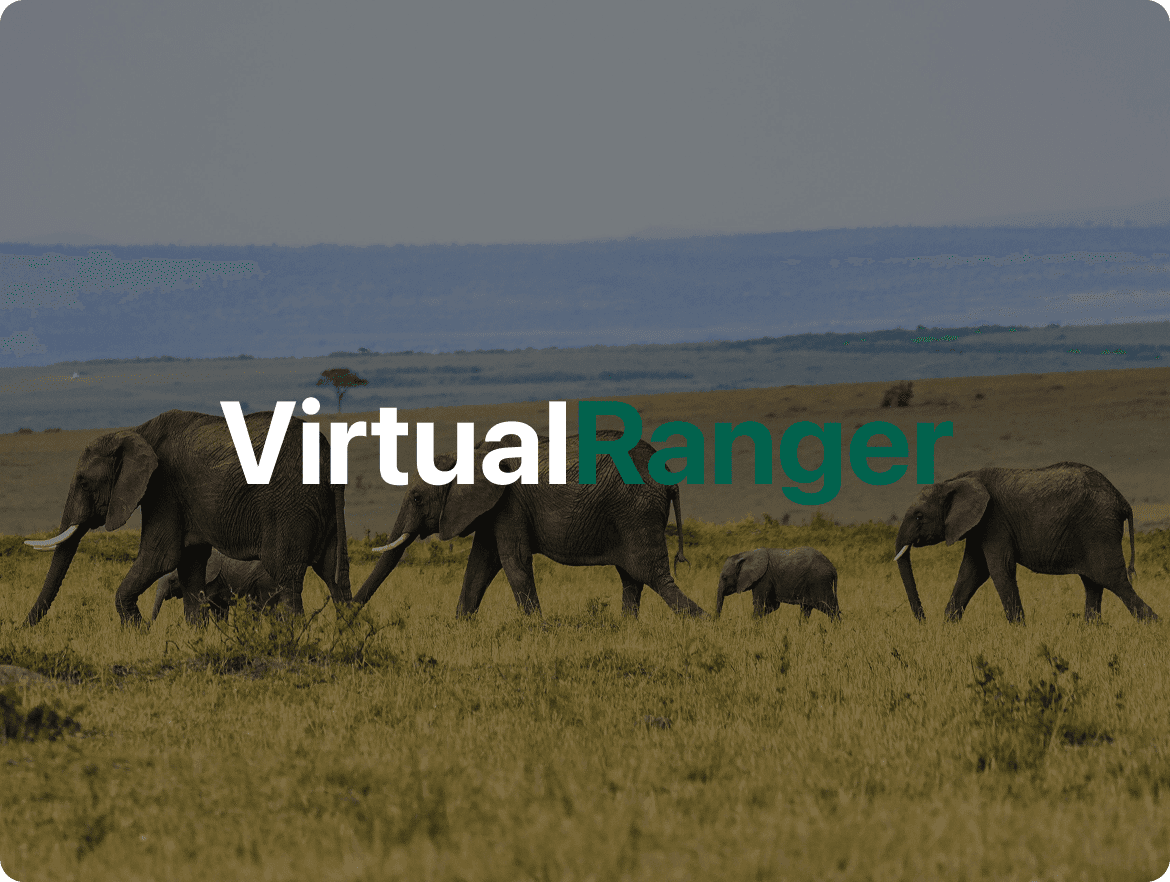 Virtual Ranger